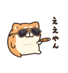 ボンレス犬 夏（個別スタンプ：17）