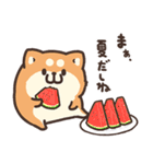 ボンレス犬 夏（個別スタンプ：19）