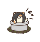 ボンレス犬 夏（個別スタンプ：29）