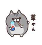 ボンレス猫 夏（個別スタンプ：13）