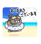 ボンレス猫 夏（個別スタンプ：39）