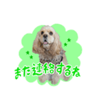 ティムくん♂（個別スタンプ：2）
