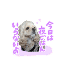 ティムくん♂（個別スタンプ：5）