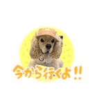 ティムくん♂（個別スタンプ：8）