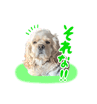 ティムくん♂（個別スタンプ：11）