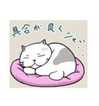 ふぬけねこ4（個別スタンプ：31）