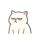 ツンツン猫皇の毎日（個別スタンプ：24）