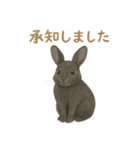 やさしい陸と空の仲間たち（個別スタンプ：12）