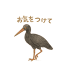 やさしい陸と空の仲間たち（個別スタンプ：13）