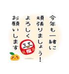 丁寧な年賀状に添えるひと言（修正版）（個別スタンプ：22）