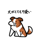 いつでも使えるボーダーコリー（セーブル）（個別スタンプ：10）