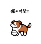 いつでも使えるボーダーコリー（セーブル）（個別スタンプ：21）