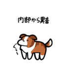 いつでも使えるボーダーコリー（セーブル）（個別スタンプ：27）