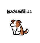 いつでも使えるボーダーコリー（セーブル）（個別スタンプ：28）