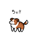 いつでも使えるボーダーコリー（セーブル）（個別スタンプ：34）