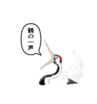 鶴亀合戦（個別スタンプ：8）