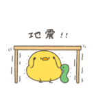 へんてこなヒヨコの防災スタンプ（個別スタンプ：1）