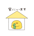 へんてこなヒヨコの防災スタンプ（個別スタンプ：5）