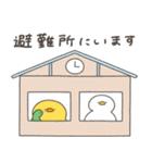 へんてこなヒヨコの防災スタンプ（個別スタンプ：8）