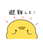 へんてこなヒヨコの防災スタンプ（個別スタンプ：24）
