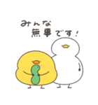 へんてこなヒヨコの防災スタンプ（個別スタンプ：25）