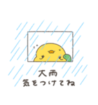 へんてこなヒヨコの防災スタンプ（個別スタンプ：28）