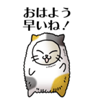 猫頭巾01（三毛）（個別スタンプ：1）