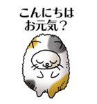 猫頭巾01（三毛）（個別スタンプ：2）