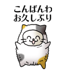 猫頭巾01（三毛）（個別スタンプ：3）