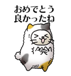 猫頭巾01（三毛）（個別スタンプ：5）