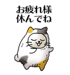 猫頭巾01（三毛）（個別スタンプ：7）