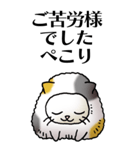 猫頭巾01（三毛）（個別スタンプ：8）
