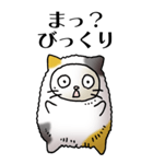 猫頭巾01（三毛）（個別スタンプ：9）
