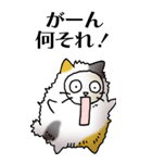 猫頭巾01（三毛）（個別スタンプ：10）