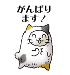 猫頭巾01（三毛）（個別スタンプ：14）