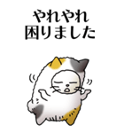 猫頭巾01（三毛）（個別スタンプ：15）