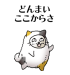 猫頭巾01（三毛）（個別スタンプ：16）