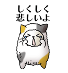 猫頭巾01（三毛）（個別スタンプ：17）