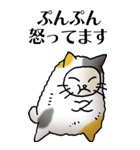 猫頭巾01（三毛）（個別スタンプ：19）