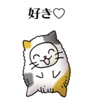 猫頭巾01（三毛）（個別スタンプ：21）
