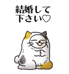 猫頭巾01（三毛）（個別スタンプ：24）
