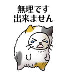 猫頭巾01（三毛）（個別スタンプ：25）