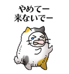 猫頭巾01（三毛）（個別スタンプ：26）
