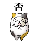 猫頭巾01（三毛）（個別スタンプ：28）