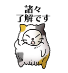 猫頭巾01（三毛）（個別スタンプ：29）