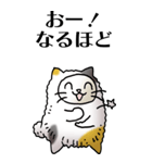 猫頭巾01（三毛）（個別スタンプ：31）