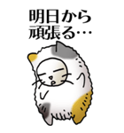 猫頭巾01（三毛）（個別スタンプ：32）