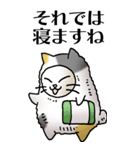 猫頭巾01（三毛）（個別スタンプ：37）