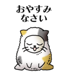 猫頭巾01（三毛）（個別スタンプ：38）