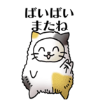猫頭巾01（三毛）（個別スタンプ：39）